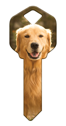 HK61 - Golden Retriever happy, key, golden, retriever, dog, puppy, keys, kw, sc1, wr5