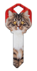 HK67 - Maine Coon happy, key, house, maine, coon, cat, kitten, paws, keys, kw, sc1, wr5
