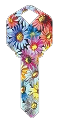 HK15 - Flowers happy, key, flower, flowers, field, summer, floral, colorful, house, keys, kw, sc1, wr5