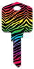 KL6 - Rainbow Zebra 
