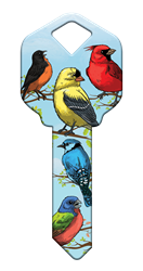 HK54 - Birds happy, key, bird, birds, cardinal, oriole, yellow, finch, blue, jay, summer, house, keys, kw, sc1, wr5