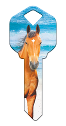 HK55 - Horse happy, key, horse, horses, beach, sand, ocean, waves, summer, house, keys, kw, sc1, wr5