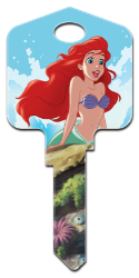 Front of Ariel & Friends Key