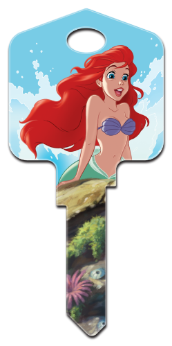 Front of Ariel & Friends Key