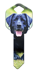 HK59 - Labrador Retriever happy, key, labrador, lab, retriever, dog, puppy, keys, kw, sc1, wr5