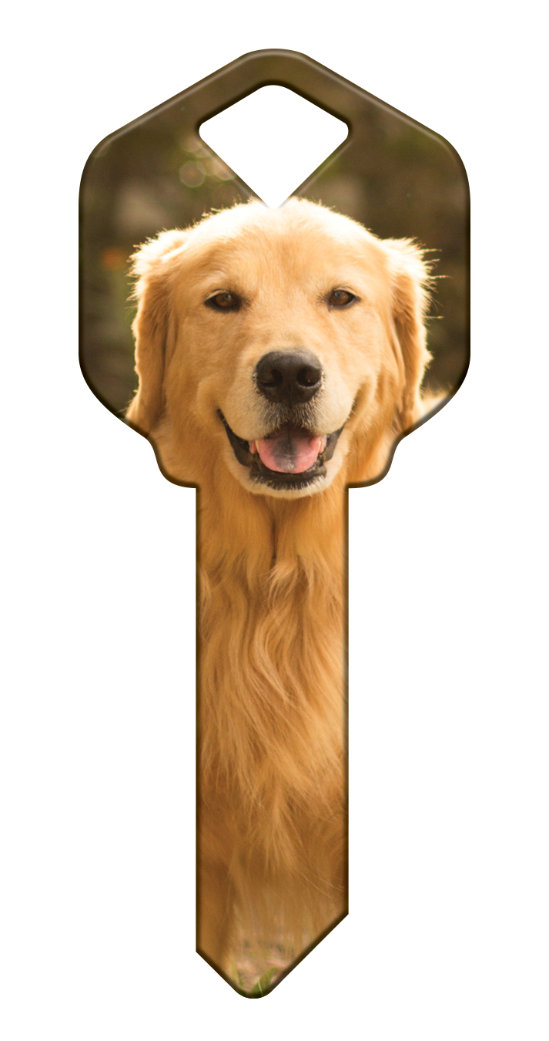HK61 - Golden Retriever  - HK61