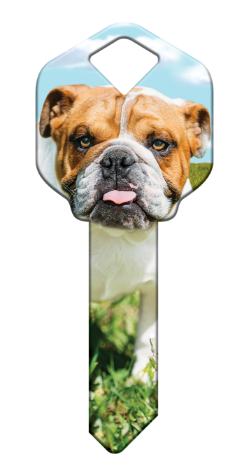 HK62 - Bulldog  happy, key, bulldog, dog, puppy, keys, kw, sc1, wr5