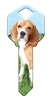 HK63 - Beagle happy, key, beagle, dog, puppy, keys, kw, sc1, wr5
