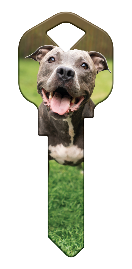 HK85 - Pit Bull  - HK85