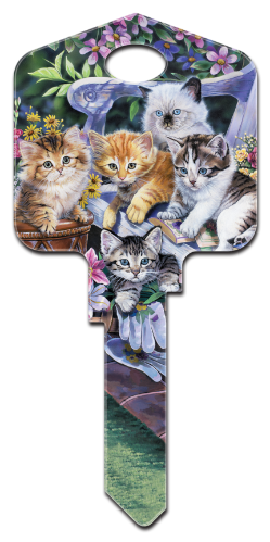 AC1 - Kittens  Artisan Collection,kittens,house key blanks,cats,keys,cute,pets,animals