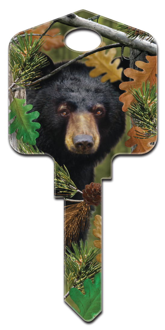 DPW1 - Black Bear  - DPW1