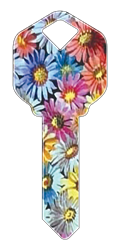 HK15 - Flowers happy, key, flower, flowers, field, summer, floral, colorful, house, keys, kw, sc1, wr5