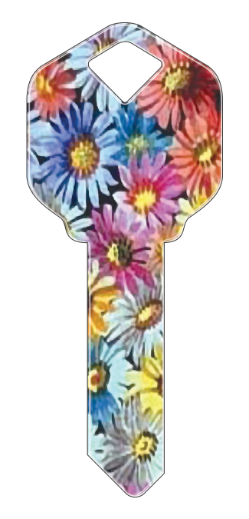 HK15 - Flowers  happy, key, flower, flowers, field, summer, floral, colorful, house, keys, kw, sc1, wr5