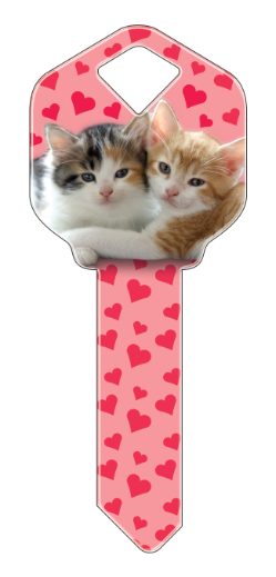 HK29 - Kittens  happy, key, kittens, kitten, cat, cats, feline, felines, cute, pet, pets, house, keys, kw, sc1, wr5