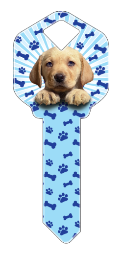 HK30 - Puppy  happy, key, puppy, puppies, dog, dogs, cute, pet, pets, house, keys, kw, sc1, wr5
