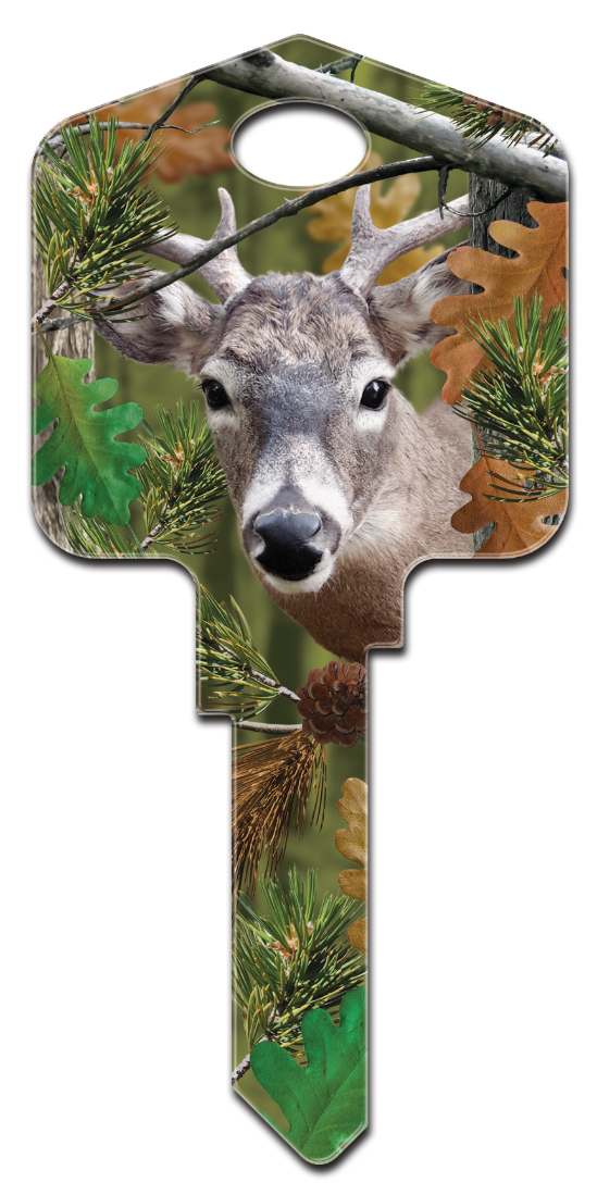 DPW3 - Buck  - DPW3