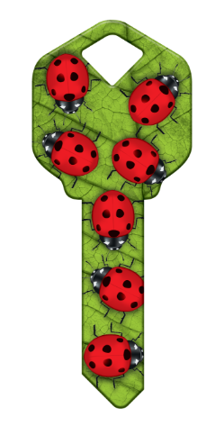 HK51 - Ladybugs  happy, key, ladybug, ladybugs, lady, bug, bugs, leaf, summer, house, keys, kw, sc1, wr5