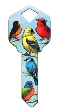 HK54 - Birds  happy, key, bird, birds, cardinal, oriole, yellow, finch, blue, jay, summer, house, keys, kw, sc1, wr5