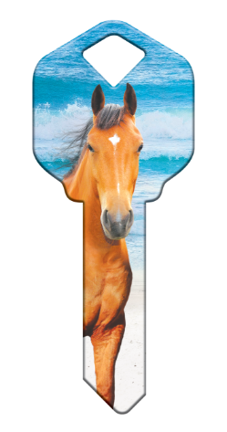 HK55 - Horse  happy, key, horse, horses, beach, sand, ocean, waves, summer, house, keys, kw, sc1, wr5